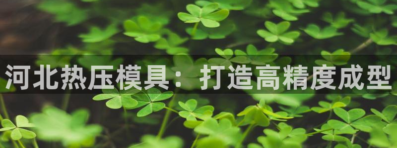 emc易倍黑吗
