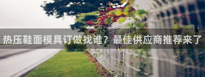 易倍纤酵素效果好吗：热压鞋面模具订做找谁？最佳供应商推荐