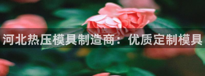 易倍申生产厂家：河北热压模具制造商：优质定制模具