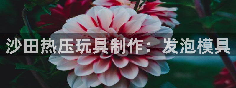 杭州易倍达上班怎么样