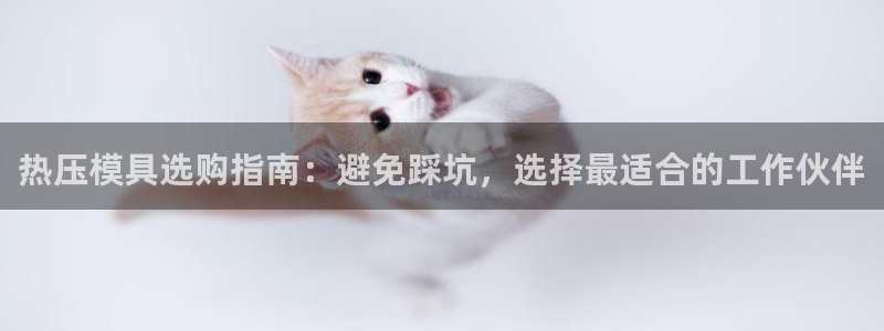 易倍网络技术有限公司