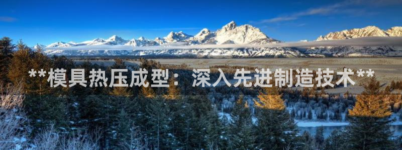 易倍易倍单词官方网站：**模具热压成型：深入先进制造技术