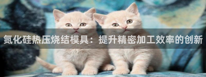 易倍申竞品