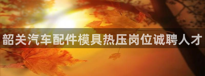 emc app下载