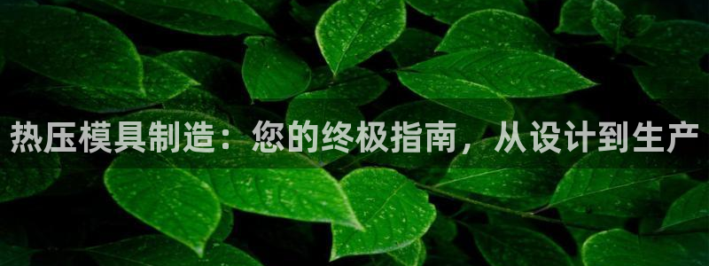 易倍下载手机版：热压模具制造：您的终极指南，从设计到生产