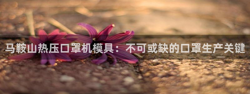 易倍达科技有限公司
