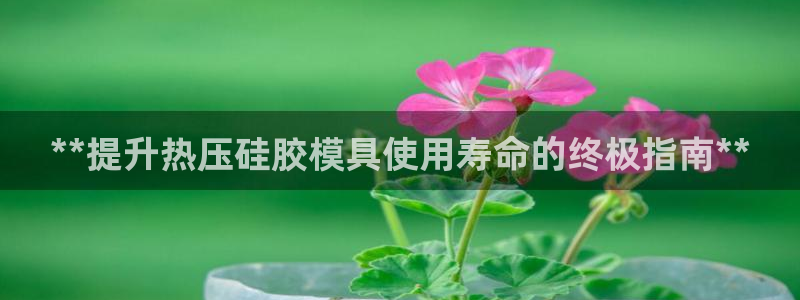 易倍英语官方网站登录：**提升热压硅胶模具使用寿命的终极