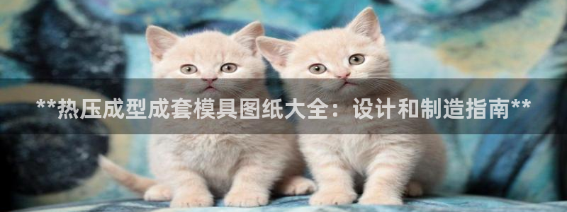 emcbet全站：**热压成型成套模具图纸大全：设计和制