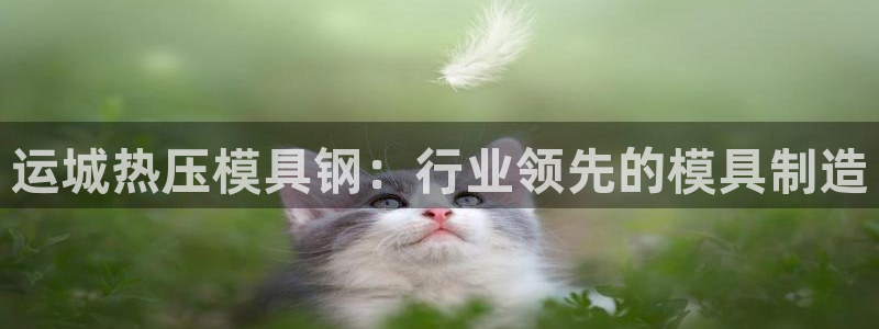emc软件下载