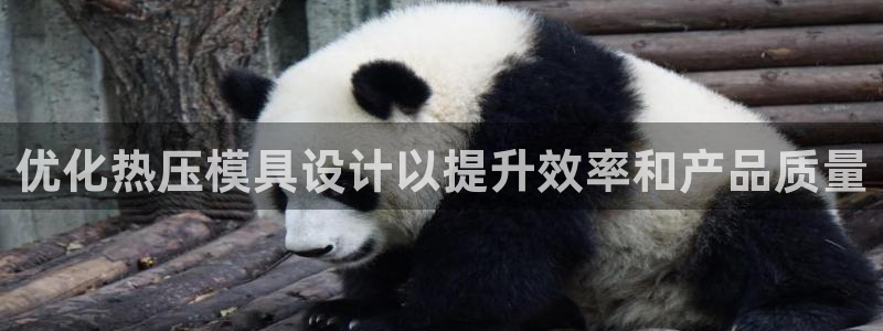 易倍申竞品：优化热压模具设计以提升效率和产品质量