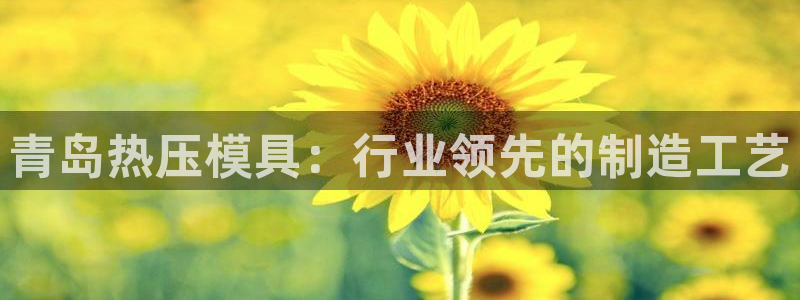 易倍EMC网址