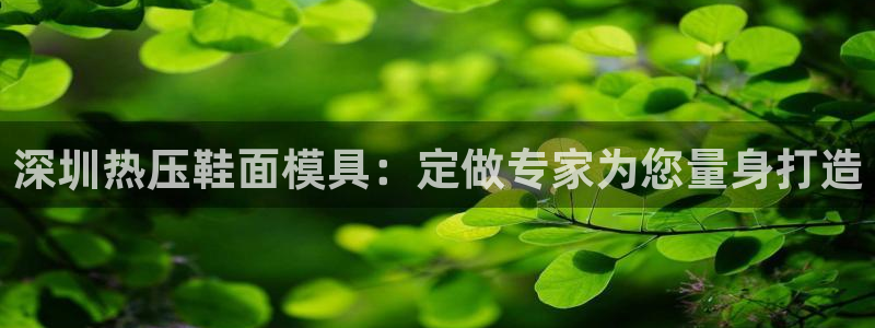 易倍申怎么样