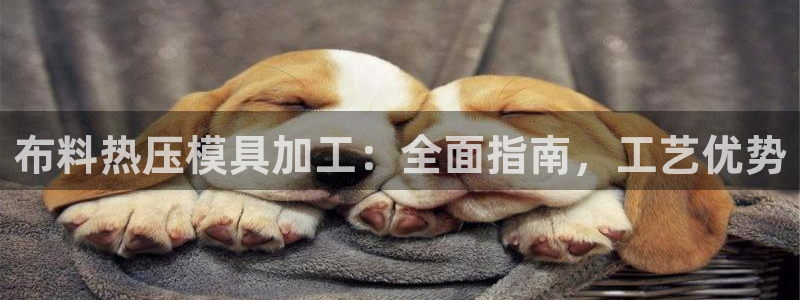 易倍申片能长期服用吗：布料热压模具加工：全面指南，工艺优