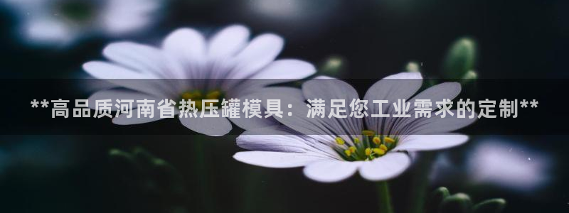 emc参数：**高品质河南省热压罐模具：满足您工业需求的
