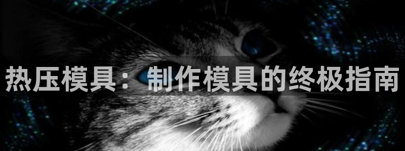 emc易倍官方：热压模具：制作模具的终极指南