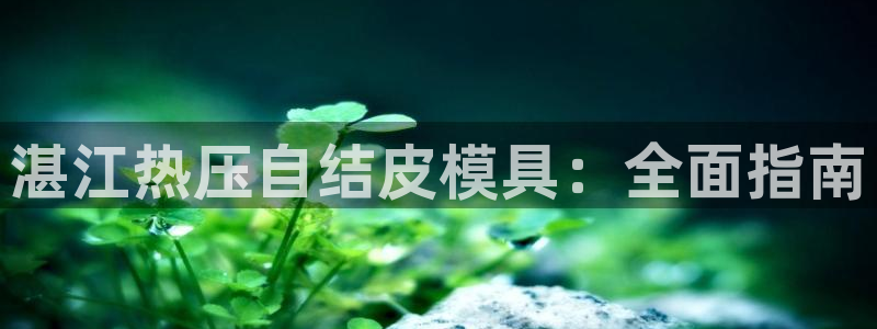 EMC倍频系数