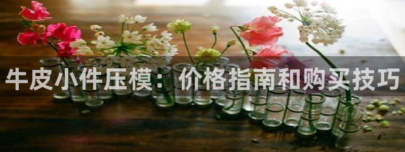 emcapp下载普通下载