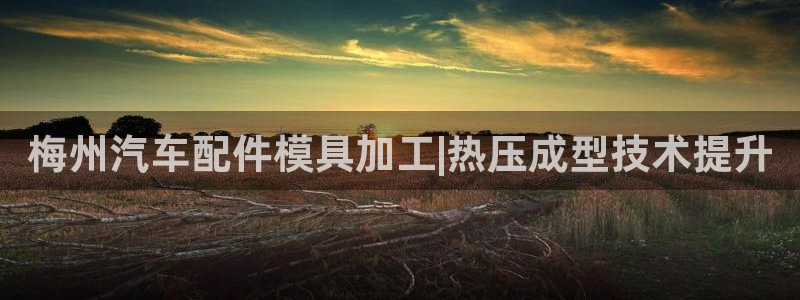 emc全站app下载