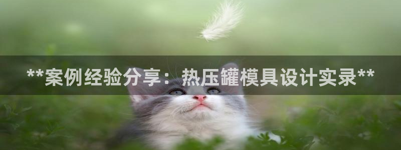 易倍网络技术有限公司招聘