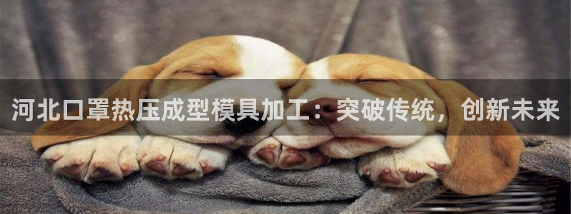 emc易倍黑吗：河北口罩热压成型模具加工：突破传统，创新