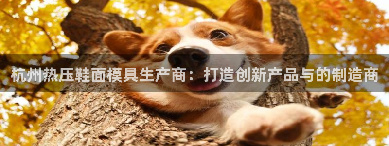 emc易倍黑吗：杭州热压鞋面模具生产商：打造创新产品与的