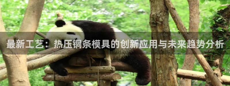 易倍申片能长期服用吗