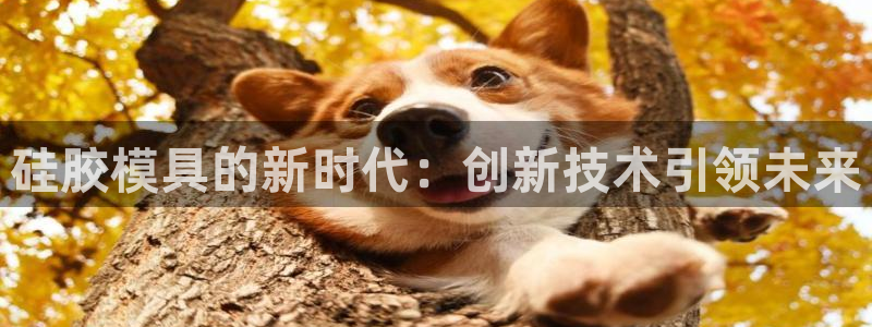 emc倍频：硅胶模具的新时代：创新技术引领未来