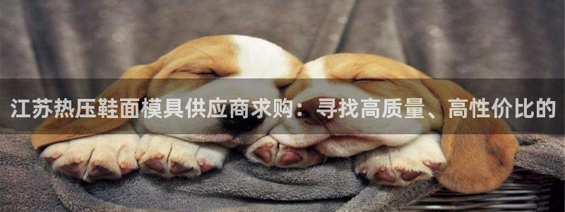 易倍申的包装规格：江苏热压鞋面模具供应商求购：寻找高质量