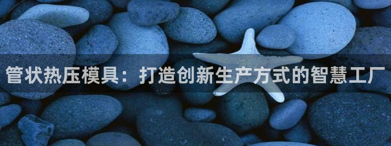 易倍电竞：管状热压模具：打造创新生产方式的智慧工厂