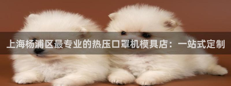 emc全站ag：上海杨浦区最专业的热压口罩机模具店：一站