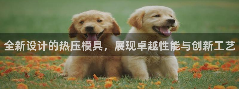 易倍企业管理软件怎么样：全新设计的热压模具，展现卓越性能