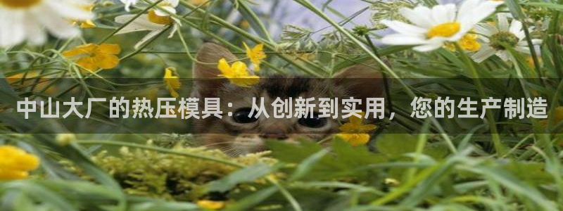 易倍纤使用方法：中山大厂的热压模具：从创新到实用，您的生