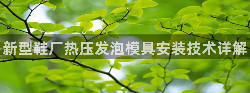 emc全站ag：新型鞋厂热压发泡模具安装技术详解