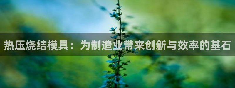 易倍下载手机版：热压烧结模具：为制造业带来创新与效率的基
