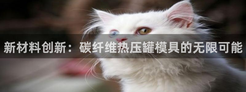 易倍单词app