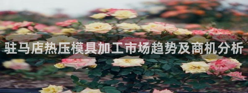 易倍纤官网
