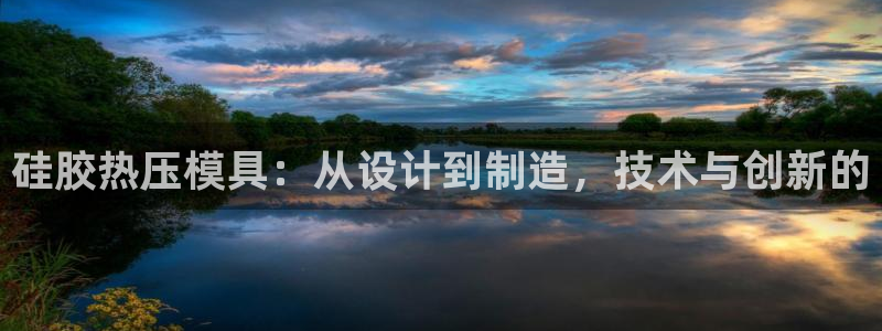 易倍申片说明书：硅胶热压模具：从设计到制造，技术与创新的