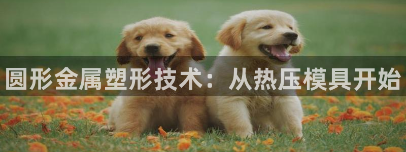 emc服务器是干啥的