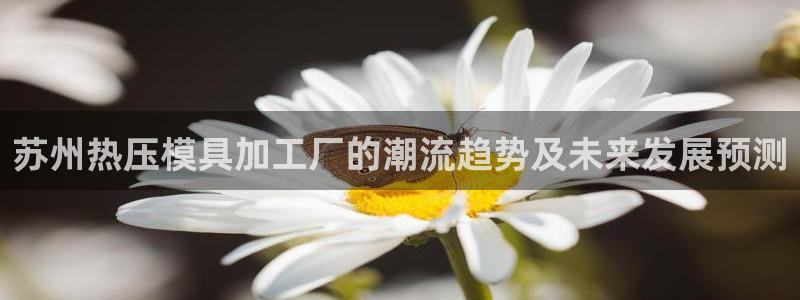 易倍app官网下载安装：苏州热压模具加工厂的潮流趋势及未