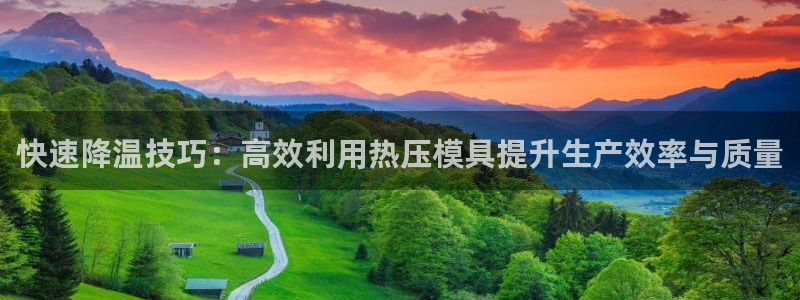 emc备份软件：快速降温技巧：高效利用热压模具提升生产效