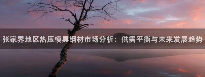 emc倍频：张家界地区热压模具钢材市场分析：供需平衡与未