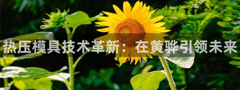 易倍申竞品：热压模具技术革新：在黄骅引领未来