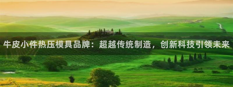 易倍申的副作用：牛皮小件热压模具品牌：超越传统制造，创新