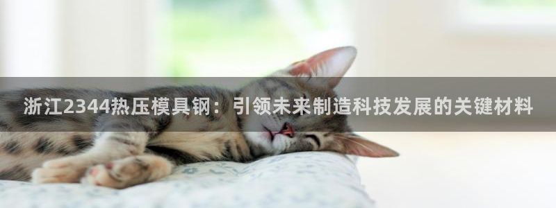易倍申生产厂家：浙江2344热压模具钢：引领未来制造科技