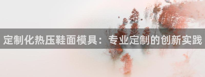 emc全站下载地址：定制化热压鞋面模具：专业定制的创新实
