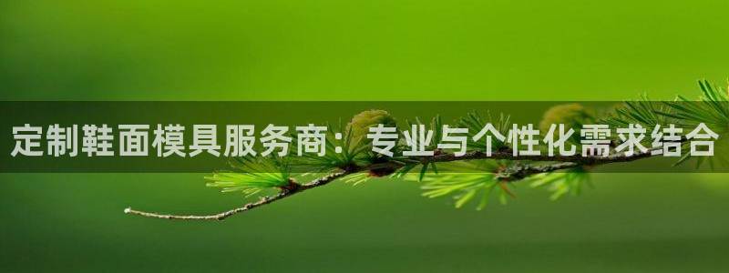 易倍申的包装规格：定制鞋面模具服务商：专业与个性化需求结