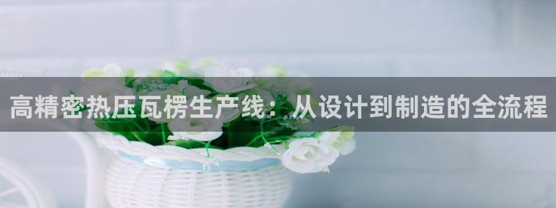 emc易倍在线登录：高精密热压瓦楞生产线：从设计到制造的