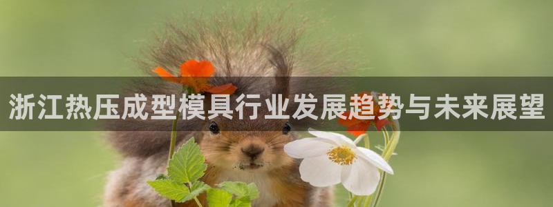 易倍网络技术有限公司招聘：浙江热压成型模具行业发展趋势与