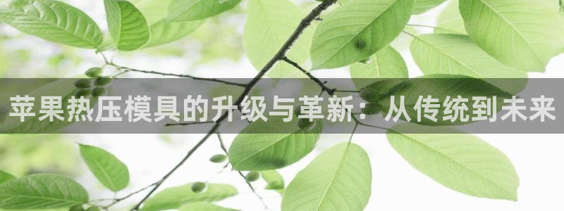 杭州易倍达科技有限公司怎么样：苹果热压模具的升级与革新：