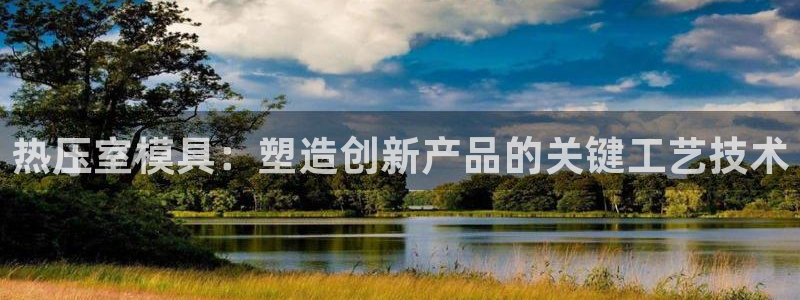 emc服务器是什么：热压室模具：塑造创新产品的关键工艺技